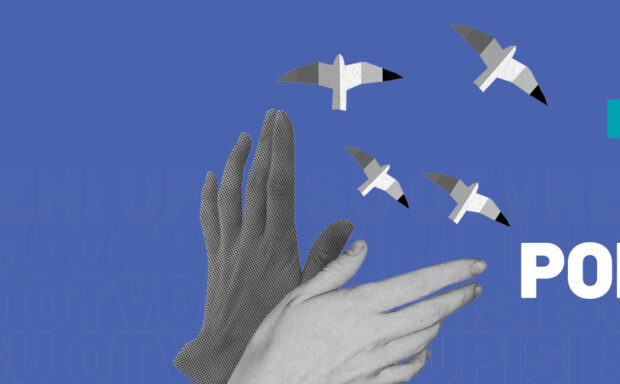 Early bird - proljeće 2026.